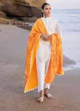 Zainab Chottani Embroidered Lawn Unstitched 3 Piece Suit - ZC24CL 3B CHUNARI